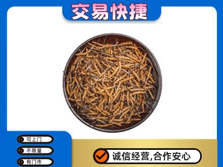 甘南礼品回收虫草.jpg
